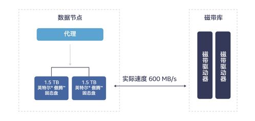 英特爾傲騰技術 高效解決冷數據存儲挑戰，賦能數據處理與存儲服務