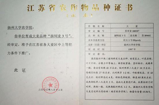 飼、食兼用大麥品種——揚飼麥3號 國家保護(hù)授權(quán)品種轉(zhuǎn)讓與技術(shù)推廣