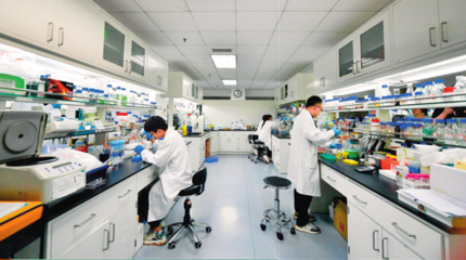 技術服務與技術成果轉讓 驅動創新與商業化的雙引擎